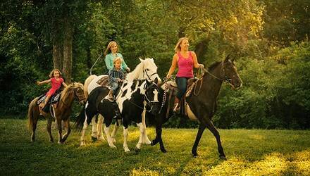 Сімейна прогулянка на конях, Одеса - Фото